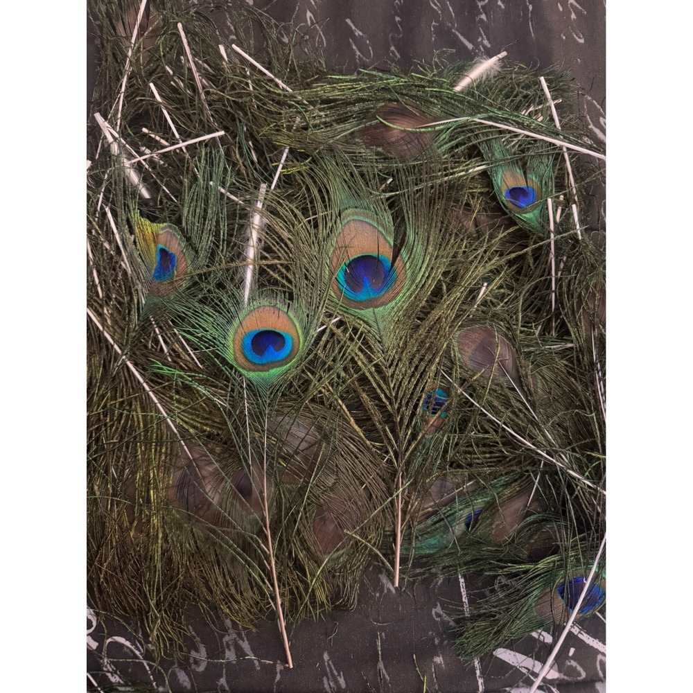 Bulk Natural Peacock Eye Feathers Long Stems Iridescent Green Blue Craft Decor
